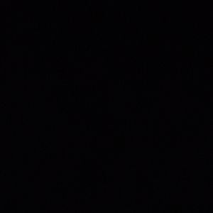 Meet your Posher, Chase